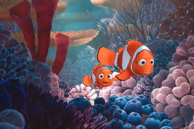 Salah satu adegan dalam film Finding Nemo
