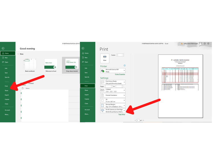 Cara print kolom excel jadi satu halaman