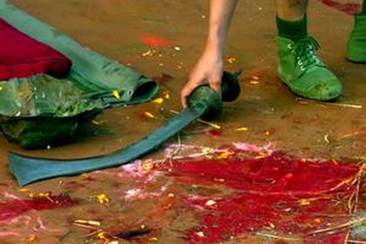 Hewan-hewan dibantai dengan sekali tebas saja. 