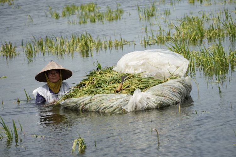 Waspada Banjir di Akhir Tahun, Saatnya Ubah Peringatan BMKG Jadi Aksi Dini