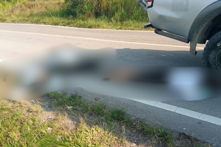 3 Warga Ditembak di Muliama Jayawijaya, 2 Tewas dan 1 Kritis
