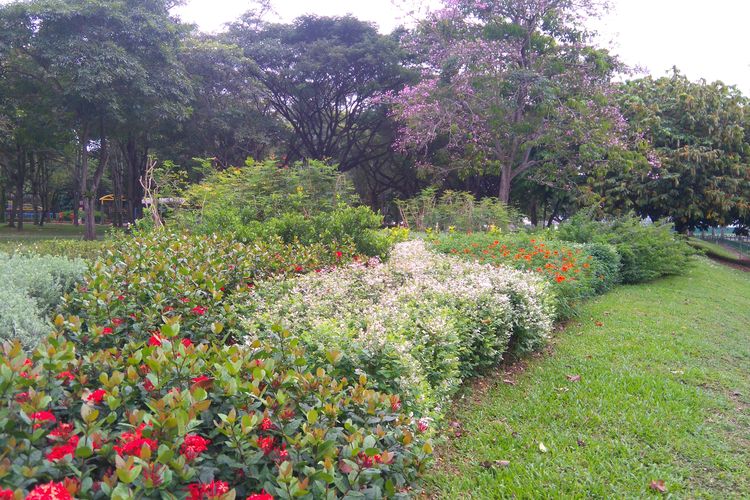Ilustrasi Taman Sun Plaza, salah satu taman terapi terbaru di Singapura.