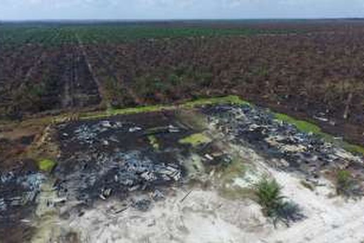 Foto kebakaran lahan di PT APSL pada Agustus 2016 ikut menghanguskan barak pekerja. Petugas KLHK yang menyegel lahan kebakaran itu disandera oleh warga yang dituding didalangi oleh perusahaan PT APSL. 