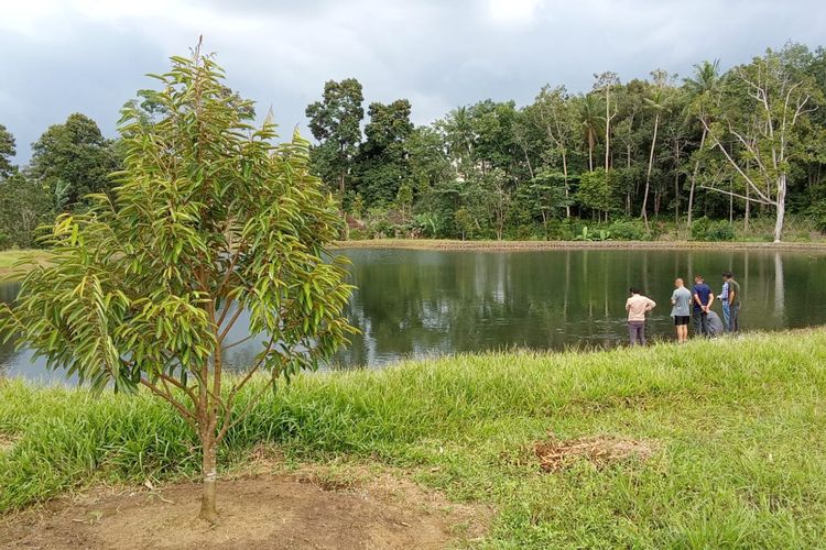 Jelajah Kebun Perubahan di Bangka Tengah, Ada Budidaya Durian Super Tembaga dan Alpukat
