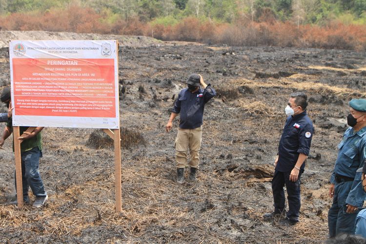 Direktur Jenderal Gakkum LHK, Rasio Ridho Sani memasang segel di lokasi kawasan lahan milik PT Sampurna Agro di Kabupaten Ogan Komering Ilir (OKI), Sumatera Selatan lantaran terbakar, Rabu (4/10/2023).