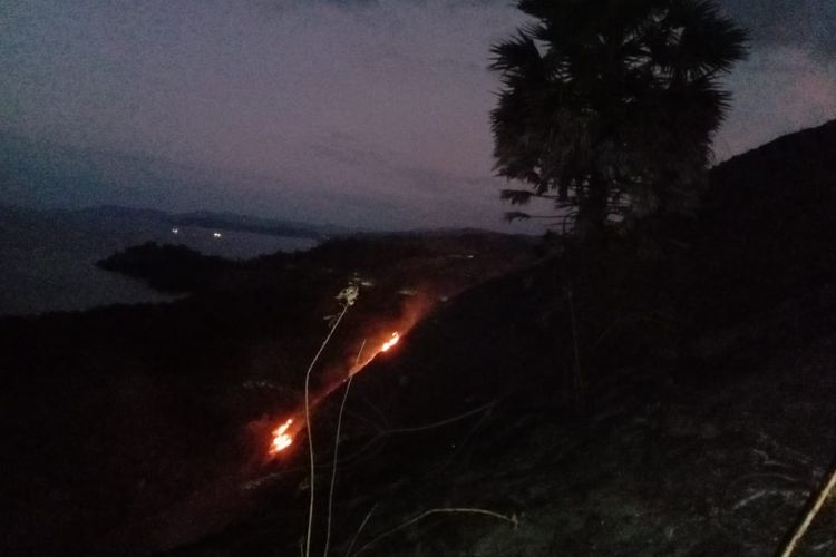 Bukit Sylvia Labuan Bajo Terbakar, Hingga Kini Belum Berhasil Dipadamkan