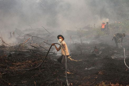 Fakta Kabut Asap di Sumatera dan Kalimantan, Penerbangan Dibatalkan hingga Warga Sesak Nafas