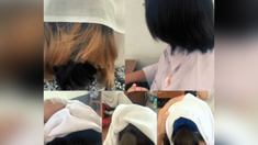 Duduk Perkara Siswi SMKN 2 Garut Dipaksa Potong Rambut oleh Guru, Dedi Mulyadi Turun Tangan