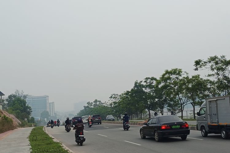 Batam Catat 383 Kasus ISPA di Tengah Kabut Asap Karhutla, Paling Banyak Usia 19-59 Tahun