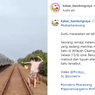Video Viral Aksi Remaja Lempar Batu ke Kereta Api di Cikampek, Pelaku Ditangkap Berujung Minta Maaf