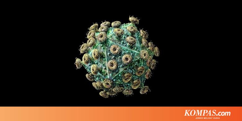 Perjalanan Infeksi Hiv Dalam Tubuh Manusia