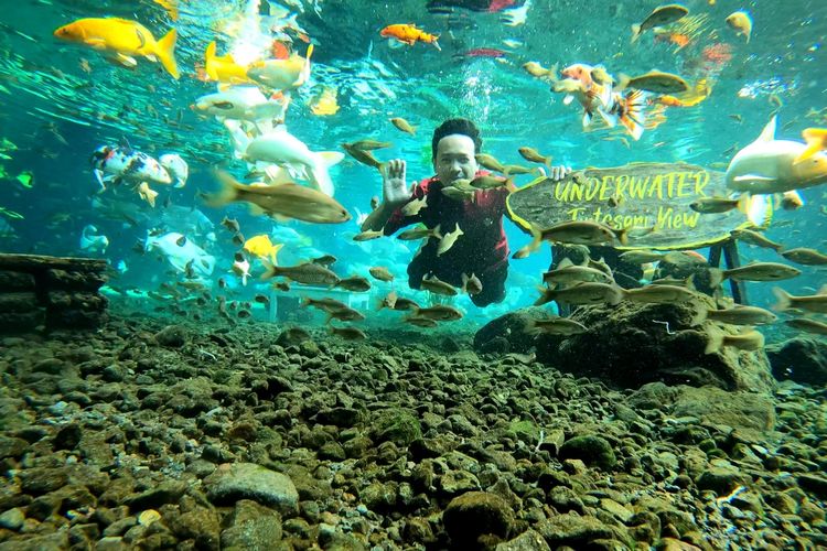 Foto Underwater bersama ikan-ikan di Pemandian Tirtosari Lumajang.