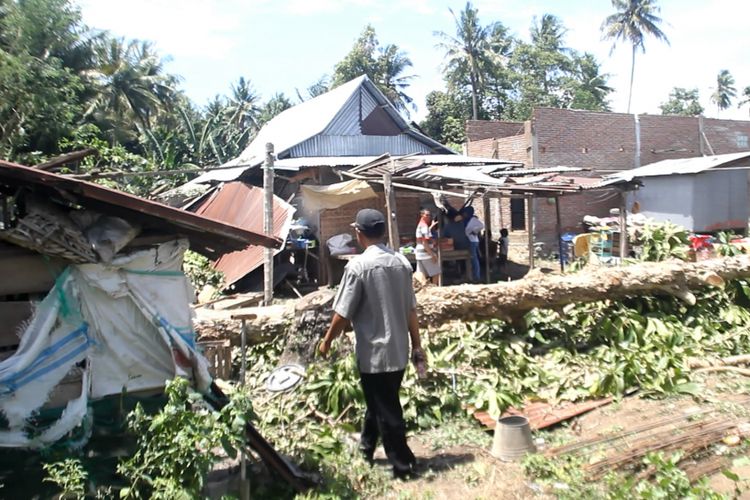 Rumah Kasim dan Thamrin di Sidrap rata dengan tanah setelah wilayah desanya diterjang angin puting beliung selama 7 menit yang membuat pohon setinggi 12 meter menimpa rumah mereka, Senin (28/1/2019). 