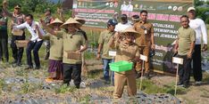 Bawang Merah Organik Potensial di Jembrana, Kembang Hartawan: Ke Depan Kita Kembangkan