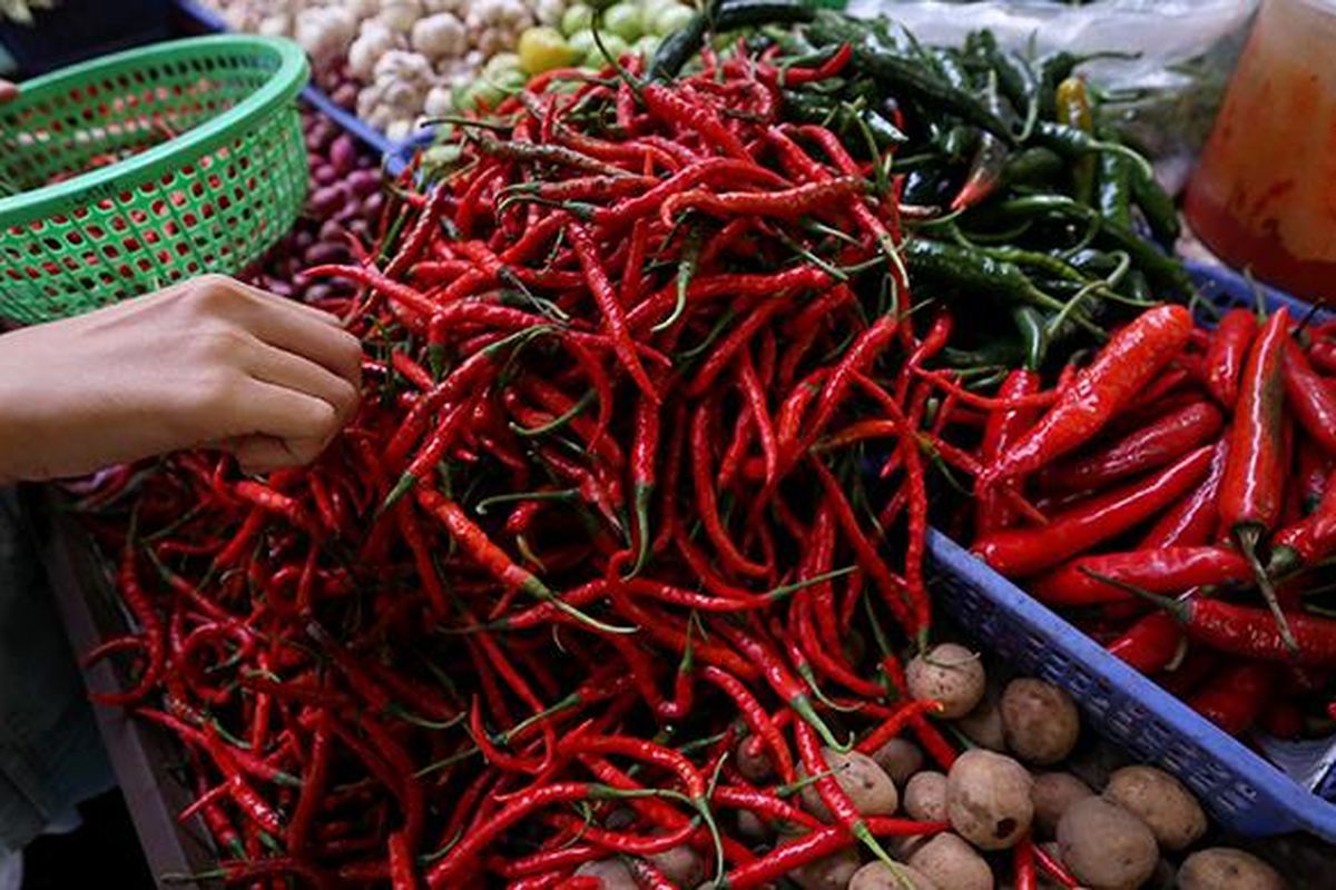 Warga sedang memilih cabai di Pasar Modern Bumi Serpong Damai (BSD), Tangerang Selatan. Kamis (5/1/2017). Hargai cabai melonjak drastis pasca-tahun baru. Di sejumlah daerah, harga cabai meroket dari puluhan ribu menjadi Rp 200-an ribu.