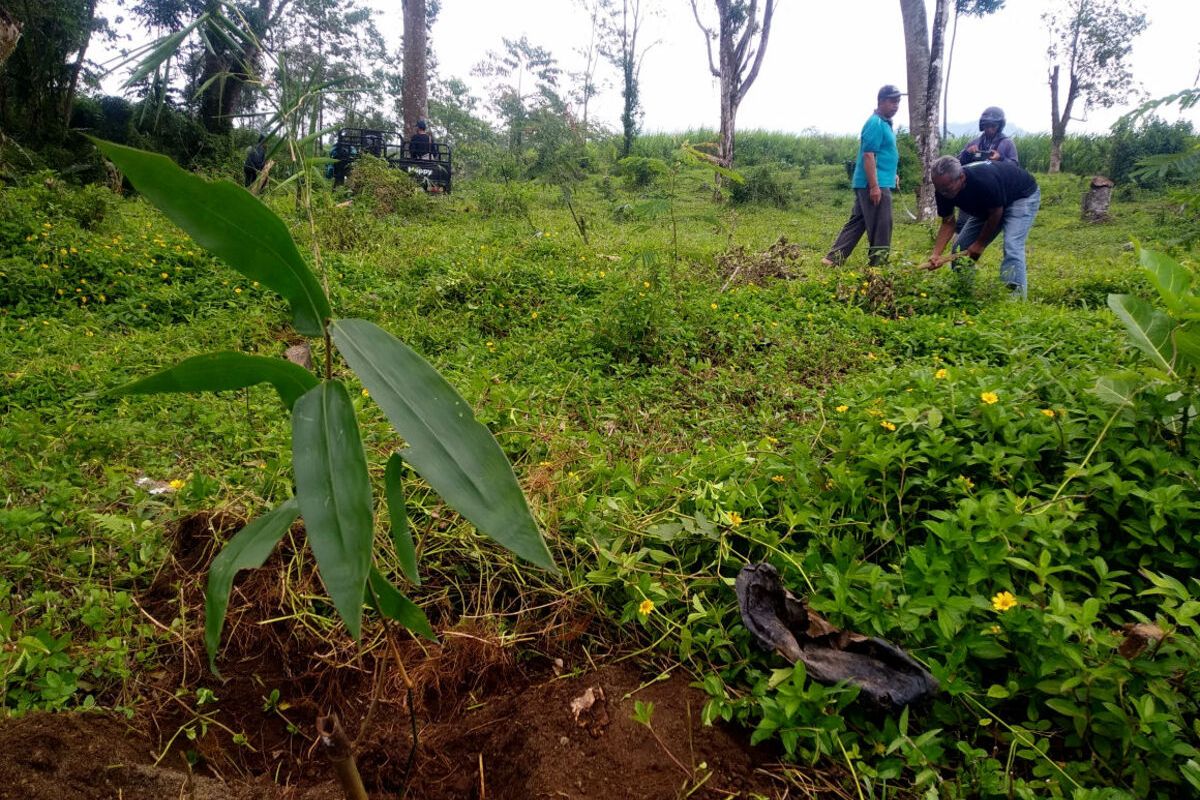 Caption 1: Pegiat Pokja Perhutanan Sosial PCNU Kabupaten Blitar dan warga Perkebunan Petungombo menanam bibit bambu petung di sekitar mata air Sendang Tampi Asih di Desa Karangrejo, Kecamatan Garum, Kabupaten Blitar, Minggu (2/2/2025); Caption 2: Warga setempat membersihkan diri di pancuran Sendang Tampi Asih Desa Karangrejo, Kecamatan Garum, Kabupaten Blitar, Minggu (2/2/2025)