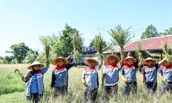 Dorong Kemandirian Masyarakat, Pertamina Genjot Program DEB Uma Palak Lestari