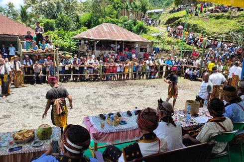 Uniknya Etu, Tinju Adat yang Justru Mengakrabkan di Nagekeo, NTT