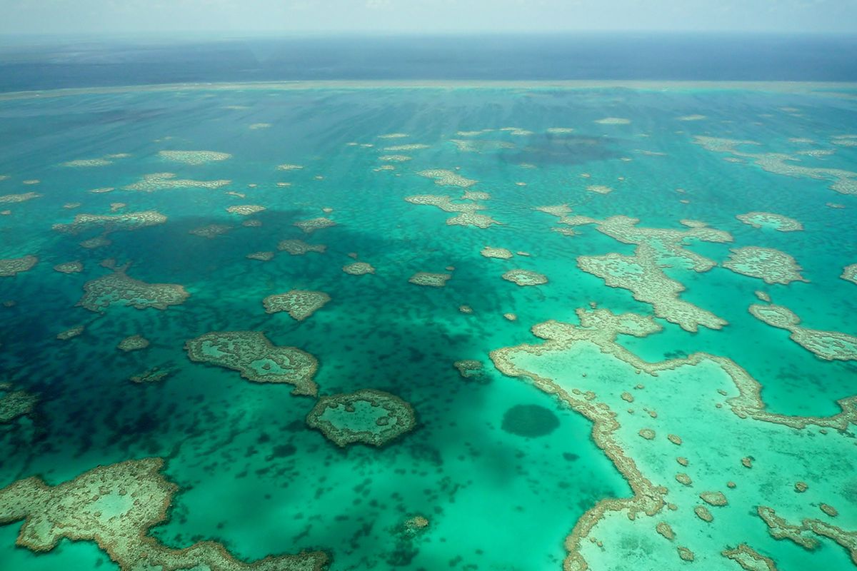 Laut tenang ternyata berbahaya bagi terumbu karang. Peristiwa itu dikaitkan dengan pemutihan massal Great Barrier Reef, Australia.