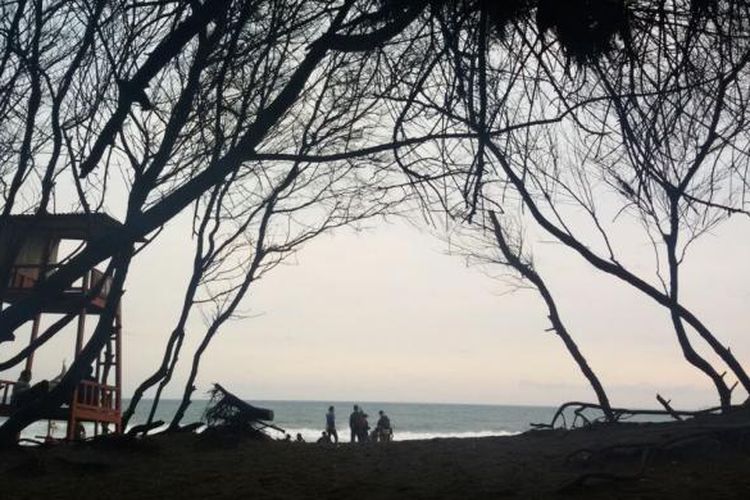 Pantai Goa Cemara di Desa Gadingsari, Kecamatan Sanden, Bantul, Yogyakarta dipenuhi rimbun pohon cemara di kanan-kiri jalan dengan dahannya yang menjuntai saling bertemu membentuk gapura.