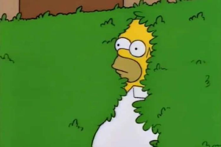 Meme Homer Backing Into Bushes