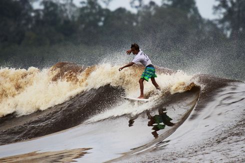 Bukan di Atas Ombak Laut Lepas, Begini Keseruan Bono Surfing di Sungai Kampar Riau