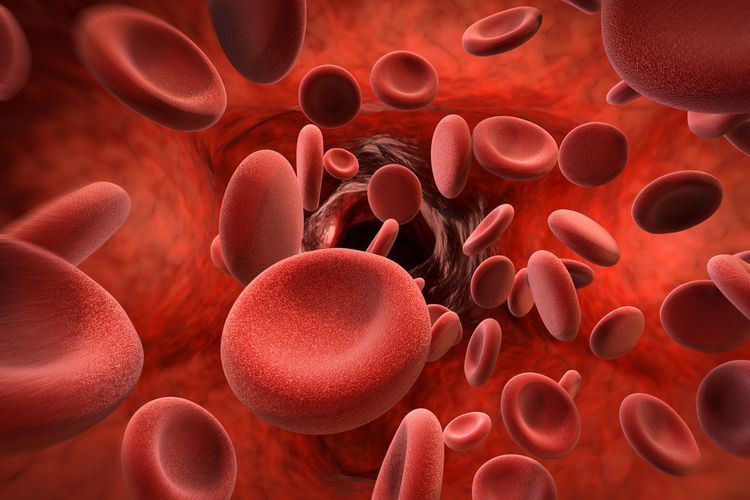 Ilustrasi hemoglobin