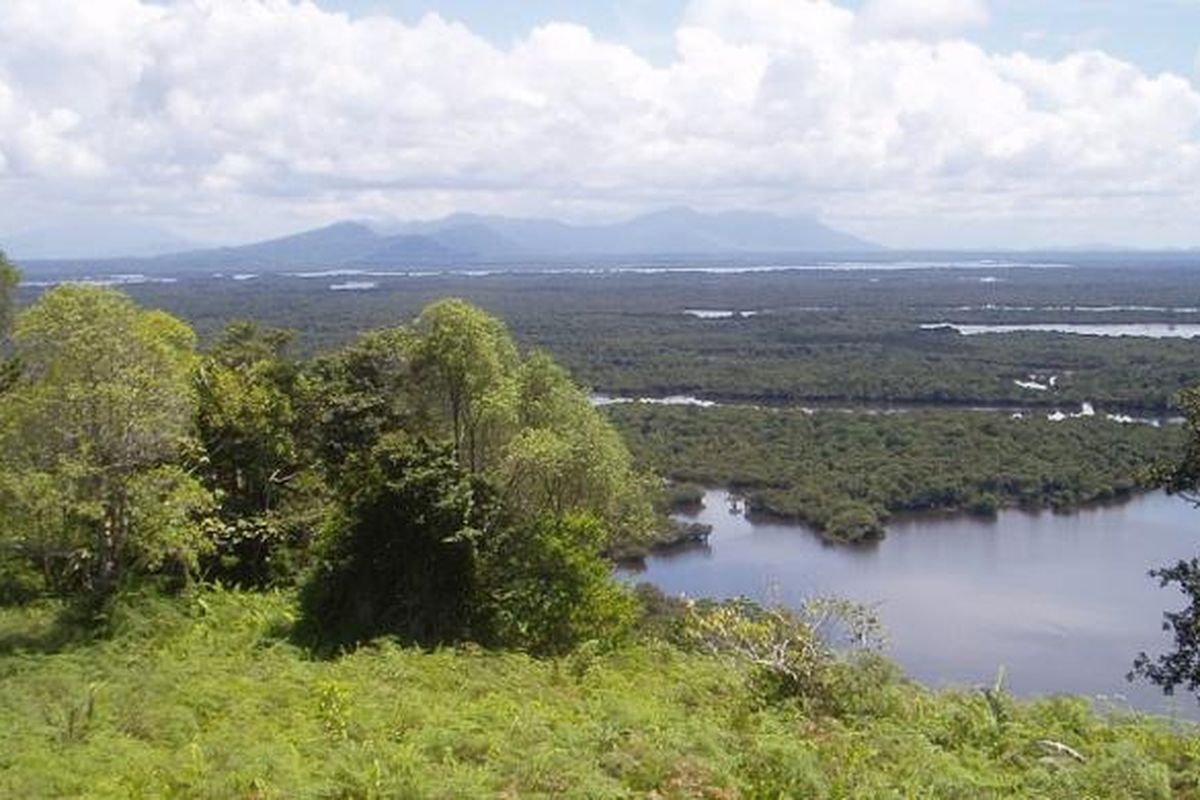 Danau Sentarum di Kapuas Hulu, Kalimantan Barat. Selama sepuluh bulan dalam satu tahun, Danau Sentarum adalah kolam besar dengan kedalaman hingga 15 menter.