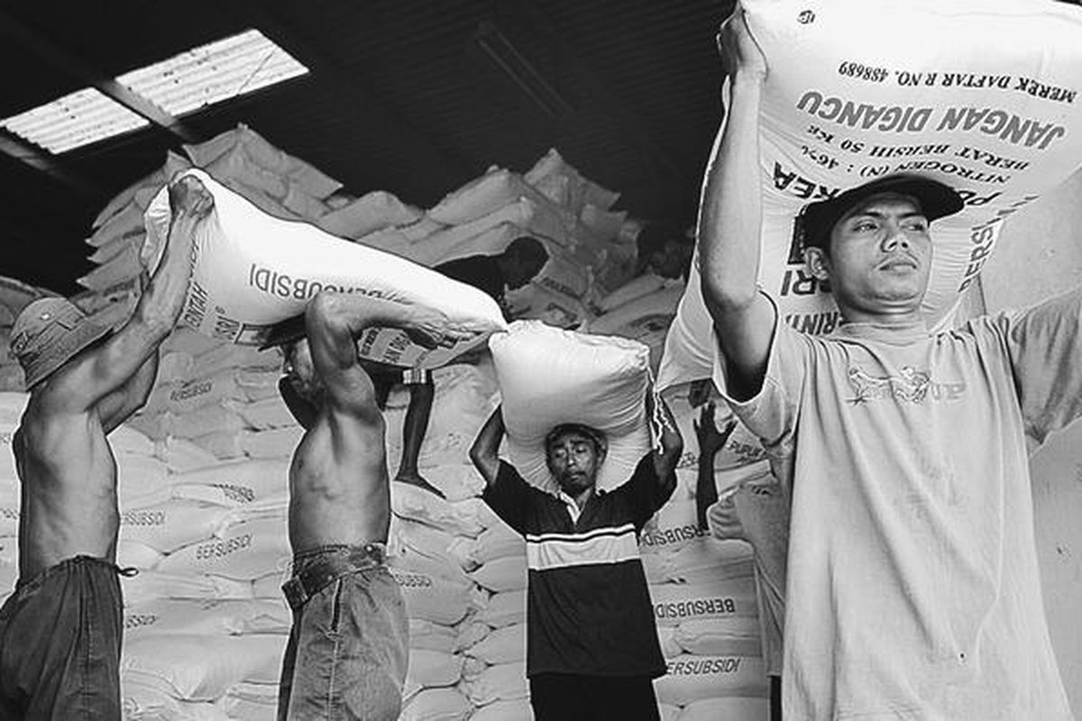 Pekerja melakukan bongkar muat pupuk urea bersubsidi di gudang PT Pusri, Maguwoharjo, Sleman, April lalu.  