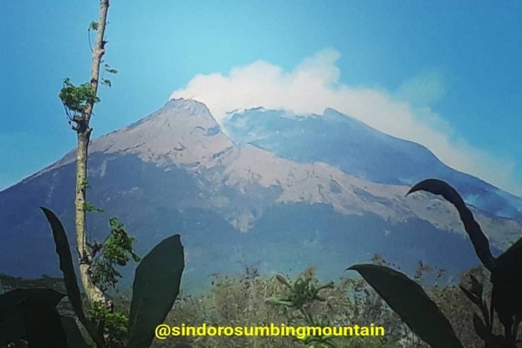 Kebakaran kawasan hutan di lereng Gunung Sumbing, perbatasan Kabupaten Magelang dan Temanggung, Selasa (11/9/2018).