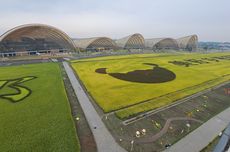 12 Kades Belajar soal Pertanian dari "Agricultural Expo Park" di Chengdu