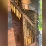 Beli Rumah Tua, Keluarga Ini Kaget Temukan 450.000 Lebah Hidup di Dinding Rumahnya