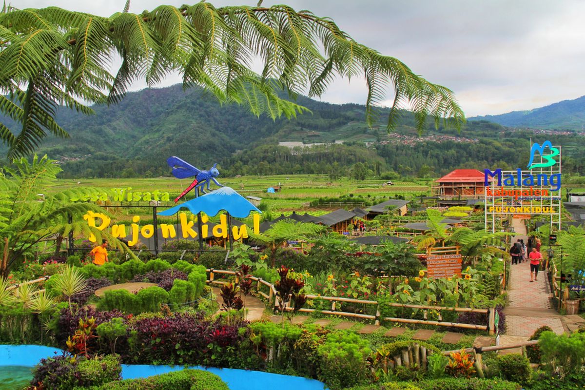 6 Aktivitas Seru di Desa Wisata Pujon Kidul Malang