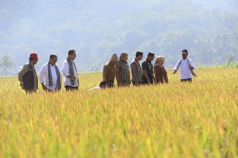 Hadapi El Nino, Ditjen PSP Kementan Serahkan Bantuan untuk Petani di Lombok Barat