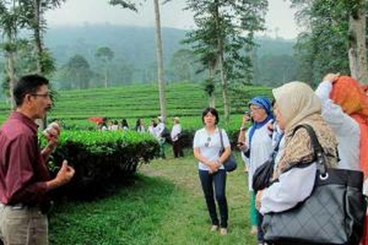 Menikmati kebun teh Pagilaran di Batang, Jawa Tengah awal Desember lalu.
