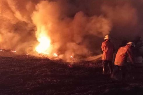 Kebun Sawit di Pesisir Selatan Sumbar Terbakar, Api Meluas dan Sulit Dipadamkan