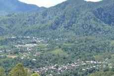 Menjelajahi Perkebunan Kopi Colol di Flores