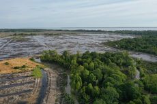 Heboh Pembabatan Hutan Mangrove oleh Oknum Pengusaha Nunukan, Polisi Segera Lakukan Pengukuran