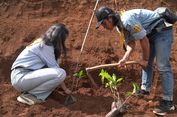 Mitigasi Bencana, Pertamina Patra Niaga Tanam 1.300 Pohon Saninten