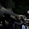 Surabaya Night Zoo Bakal Dibuka Awal Juni 2023