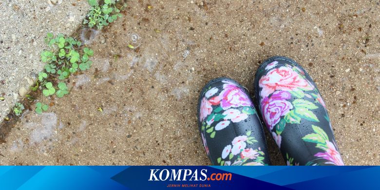 Tiga Bahan Alami untuk Mengusir Rumput Liar di Halaman