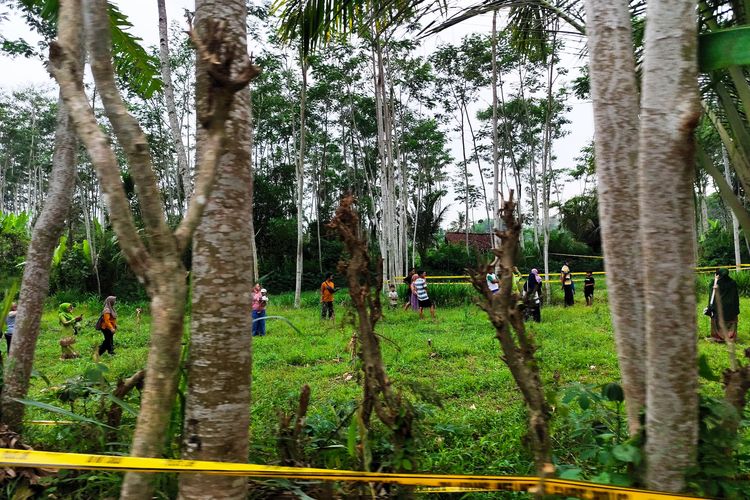 Lokasi ditemukannya jasad bocah 7 tahun di Kecamatan Kalibaru, Kabupaten Banyuwangi yang diduga dibunuh dan diperkosa