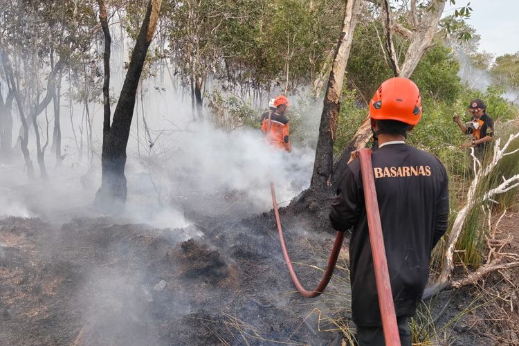 5 Hektar Lahan Pohon Gelam di Belitung Timur Terbakar, Pemadam Sempat Kesulitan Jangkau Lokasi