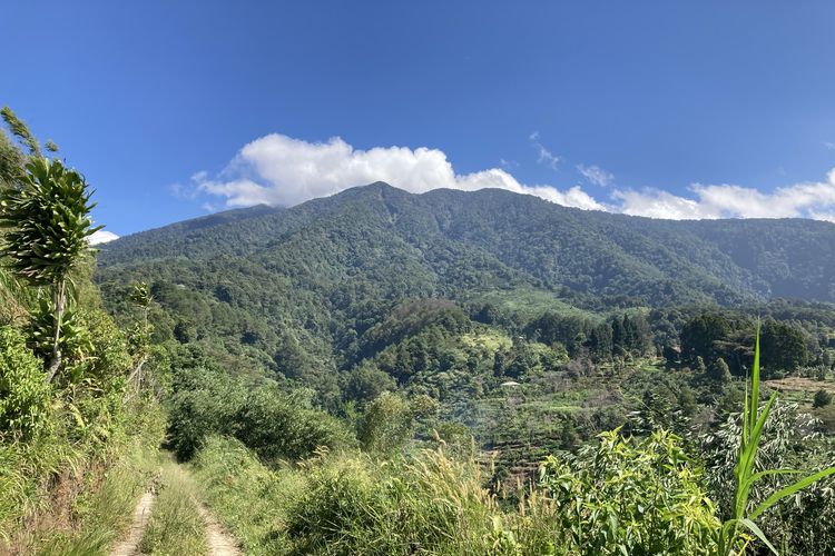 Pemandangan yang dapat dilihat dari jalur trekking di kaki Gunung Salak yang berlokasi di Desa Pasirjaya, Kecamatan Cigombong, Kabupaten Bogor, Kamis (27/5/2021).