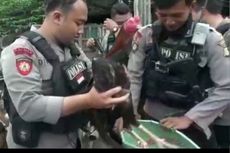 Polisi Tangkap Pelaku Sabung Ayam di Jakarta