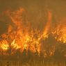 Gelombang Panas Abnormal Melanda Eropa, Spanyol dan Jerman Berjuang Atasi Kebakaran Hutan
