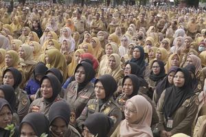 Anggota DPR: Gaji PPPK adalah Hak, Jangan Sampai Tidak Dibayar!