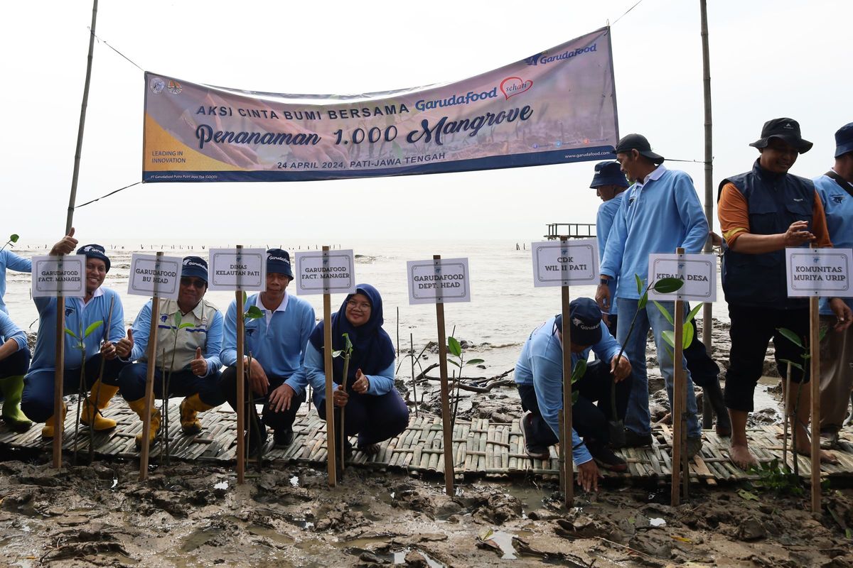 Garudafood dan Dinas Lingkungan Hidup Kabupaten Pati menanam 1.000 bibit mangrove di Desa Tunggulsari, Kecamatan Tayu, Kabupaten Pati, Jawa Tengah (24/4/2024).