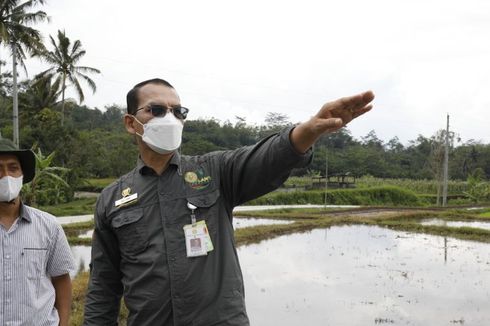 Program JUT dari Kementan Dorong Sektor Pertanian Berkembang Pesat