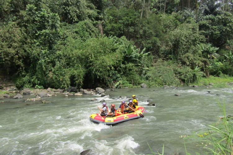 Kegiatan wisata alam rafting Sungai Elo, Magelang, Jawa Tengah.